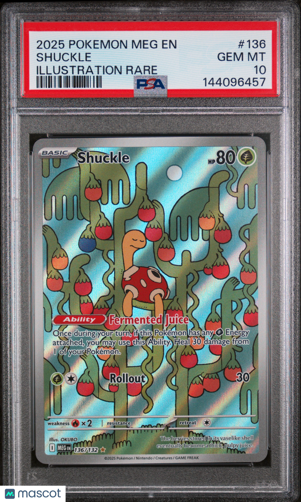 2025 Pokemon Mega Evolution Shuckle #136 Illustration Rare PSA 10 GEM MINT - Graded TCG/CCG