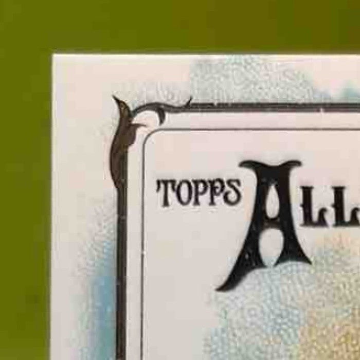 2025 Topps Allen & Ginter Vladimir Guerrero Jr. Relics Toronto Blue Jays - Sports Cards