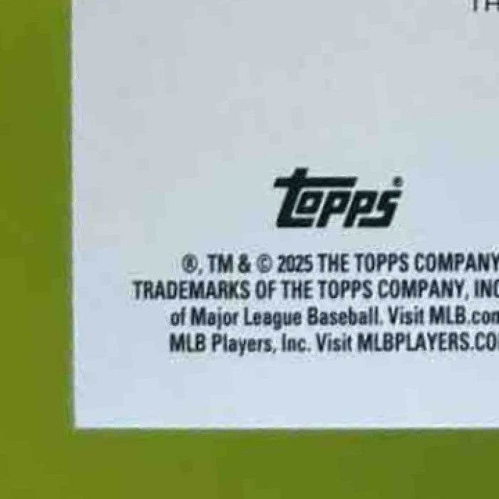2025 Topps Allen & Ginter Vladimir Guerrero Jr. Relics Toronto Blue Jays - Sports Cards