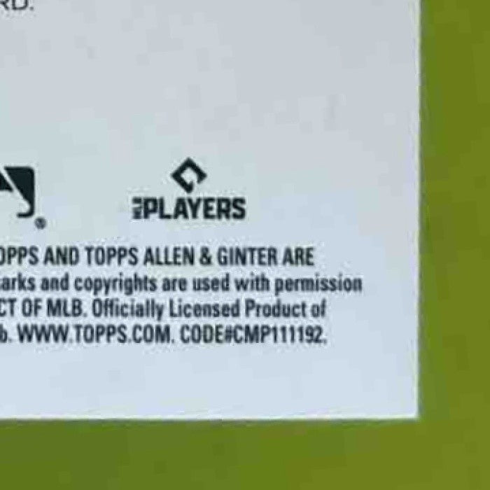 2025 Topps Allen & Ginter Vladimir Guerrero Jr. Relics Toronto Blue Jays - Sports Cards