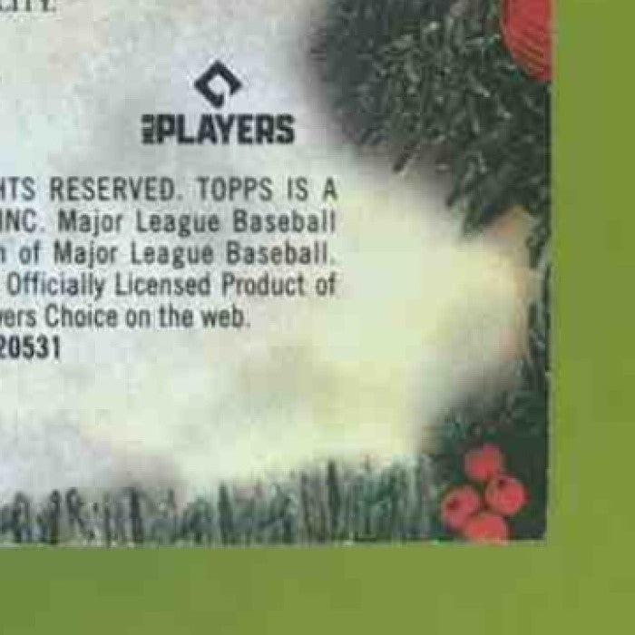 2025 Topps Holiday James Wood Player Relics #PR-JWO MEM Washington Nationals - Sports Cards
