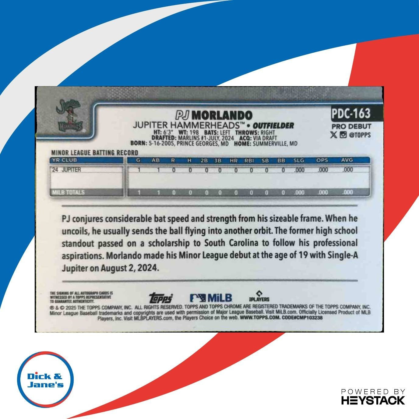 2025 Topps Pro Debut PJ Morlando Chrome Auto Gold /50 #PDC-163 Hammerheads - Sports Cards