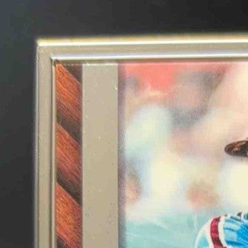 2022 Topps Museum Collection Mike Schmidt Framed Auto Silver 15/15 Phillies