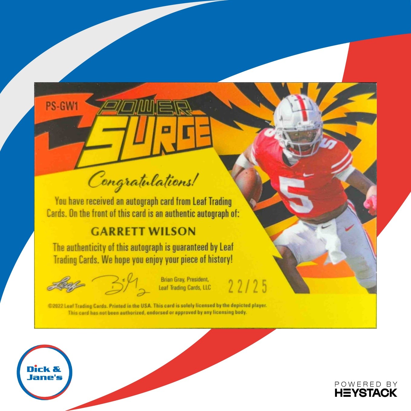 2022 Leaf Pro Set Metal Power Surge Crystal Blue Garrett Wilson /25 Auto