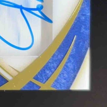 2019-20 Immaculate Collection Julius Randle Shadowbox Signatures /99 Auto Knicks