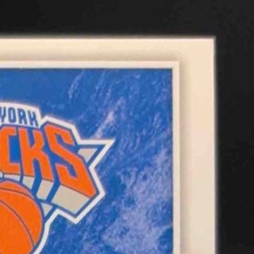 2019-20 Immaculate Collection Julius Randle Shadowbox Signatures /99 Auto Knicks