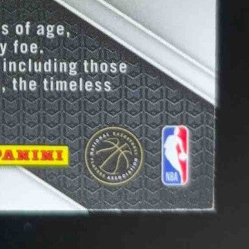 2024-25 Panini Prizm LeBron James Silver