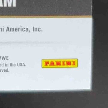 2022 Panini Chronicles WWE Rob Van Dam Hall of Fame Auto Red #HF-RVD