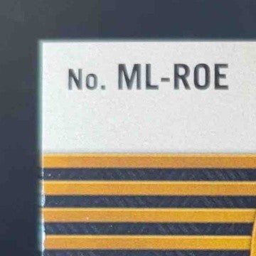 2024 Panini Gold Standard Rome Odunze Mother Lode 66/299 MEM RC Chicago Bears