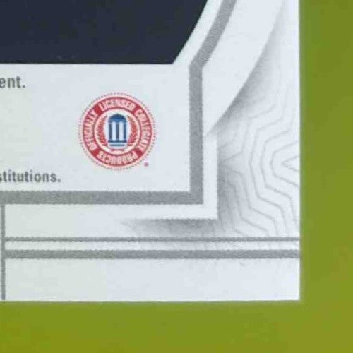 2024 Panini National Treasures Blake Corum Tremendous 79/99 RC Los Angeles Rams