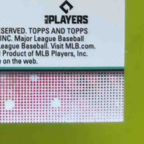 2024 Topps Inception Jasson Dominguez Auto Relic Cards Fielding Glove 11/25 NYY