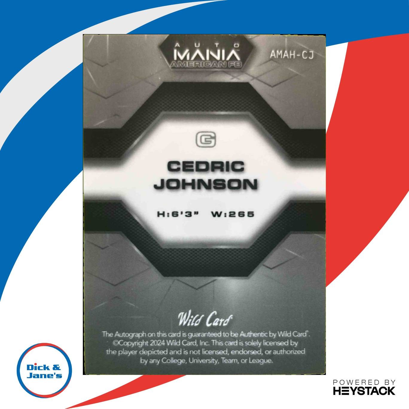 2024 Wild Card Automania American Cedric Johnson Hex Rainbow Flag /25 Rebels