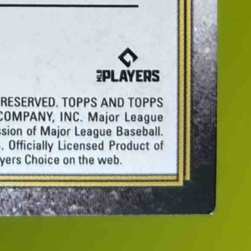 2024 Triple Threads Carlos Correa Lopez Joe Ryan Relic Combos Sapphire /3 Twins