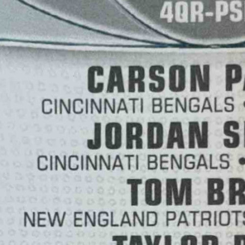 2010 Topp Prime Carson Palmer Jordan Shipley Tom Brady Taylor Price Relics /124