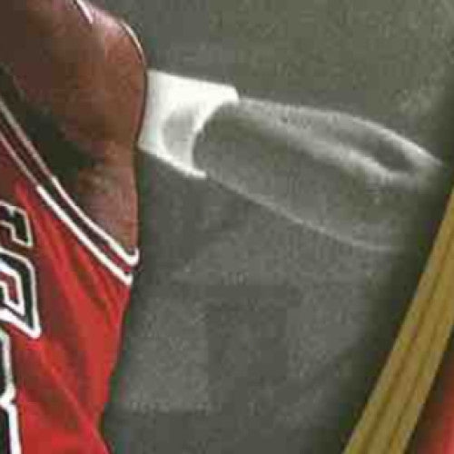 2008-09 Upper Deck Michael Jordan Legacy Collection Game 246 #246 Chicago Bulls