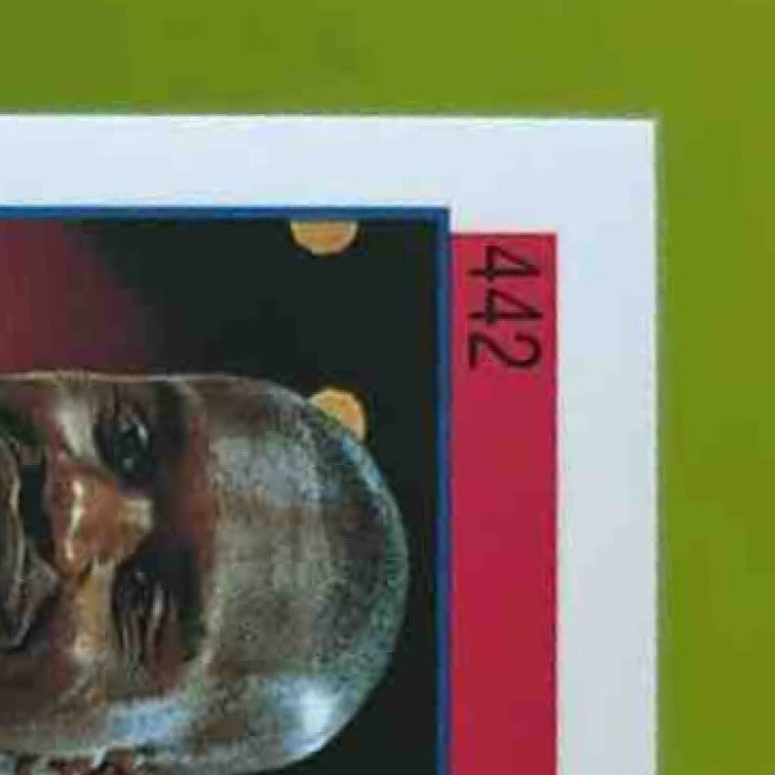 1992-93 Hoops Shaquille O'Neal #442 RC Orlando Magic