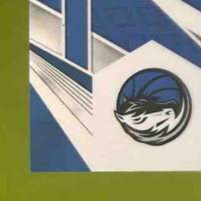 2023-24 Panini Phoenix Kyrie Irving Paragon White Ice /125 #18 Dallas Mavericks