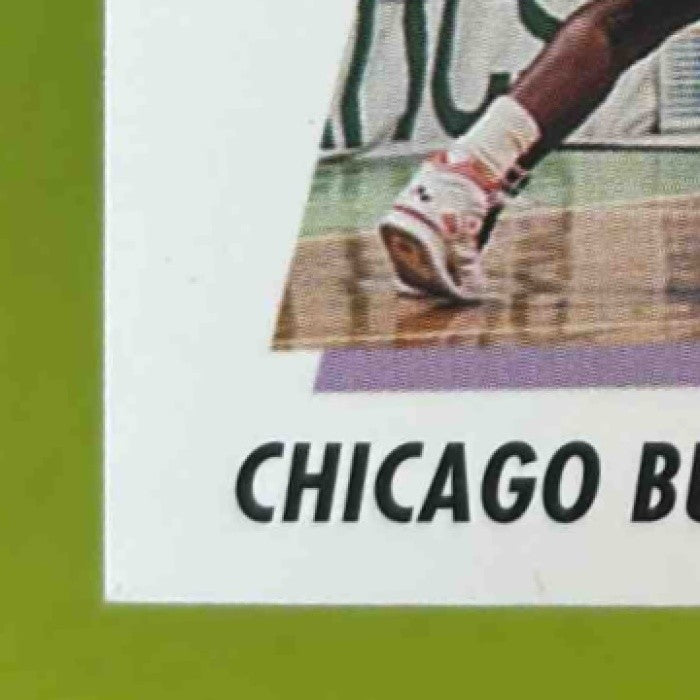 1991-92 Skybox Chicago Bulls #408