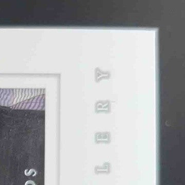 2001 Upper Deck Tiger Woods Gallery #GG4 Rookie Insert DJ1