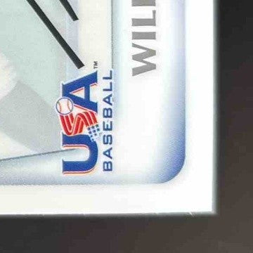 2011 Bowman Draft Picks & Prospects William Abreu Chrome #BDPP91 USA