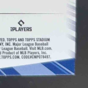2024 Topps Stadium Club Juan Soto Chief Fantasy CF Pro New York Yankees