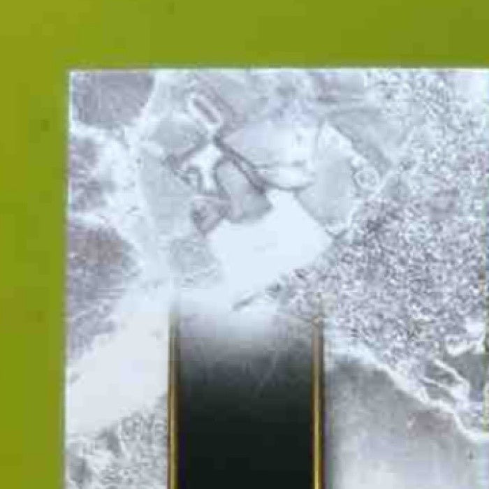 2025 Topps Tier One Oswald Peraza Auto Jumbo Relics /99 New York Yankees
