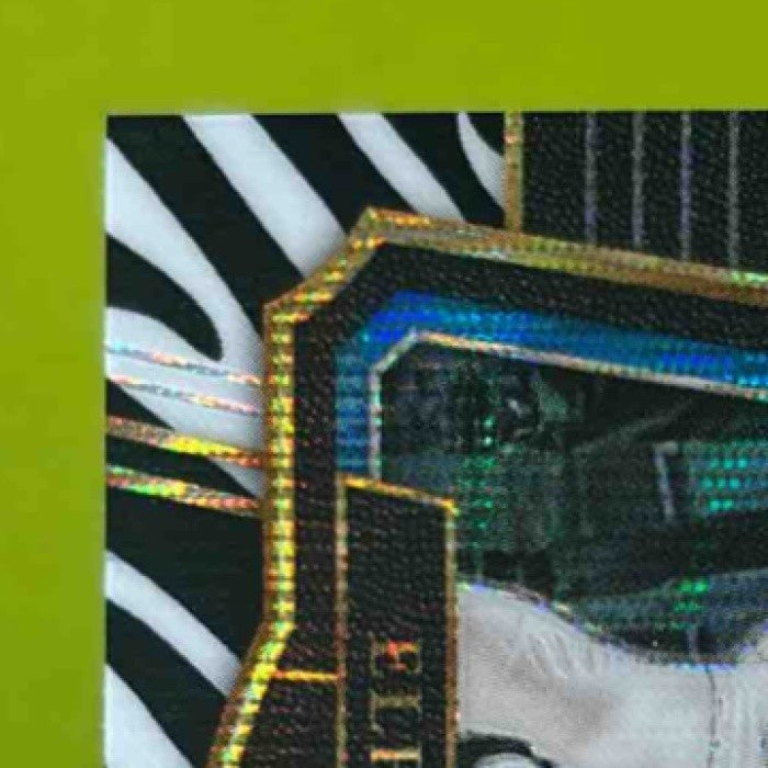2017-18 Panini Select Elfrid Payton Zebra Prizms #155 Orlando Magic