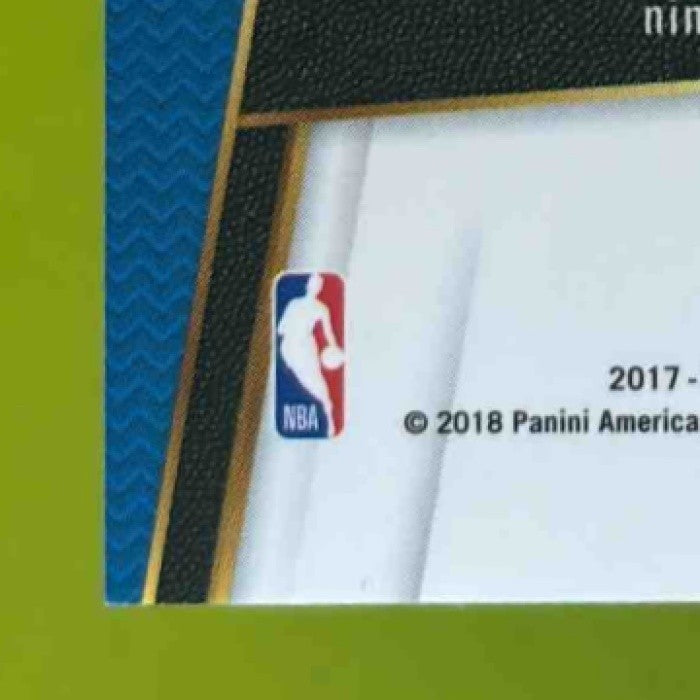 2017-18 Panini Select Elfrid Payton Zebra Prizms #155 Orlando Magic