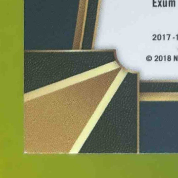 2017-18 Panini Select Dante Exum Zebra Prizms #29 Concourse Utah Jazz