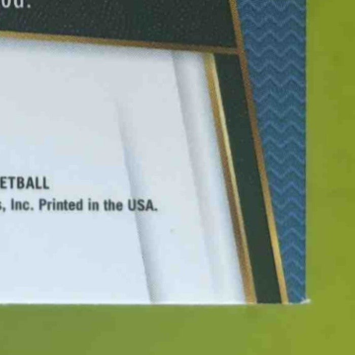 2017-18 Panini Select Wilson Chandler Zebra Prizms #178 Denver Nuggets