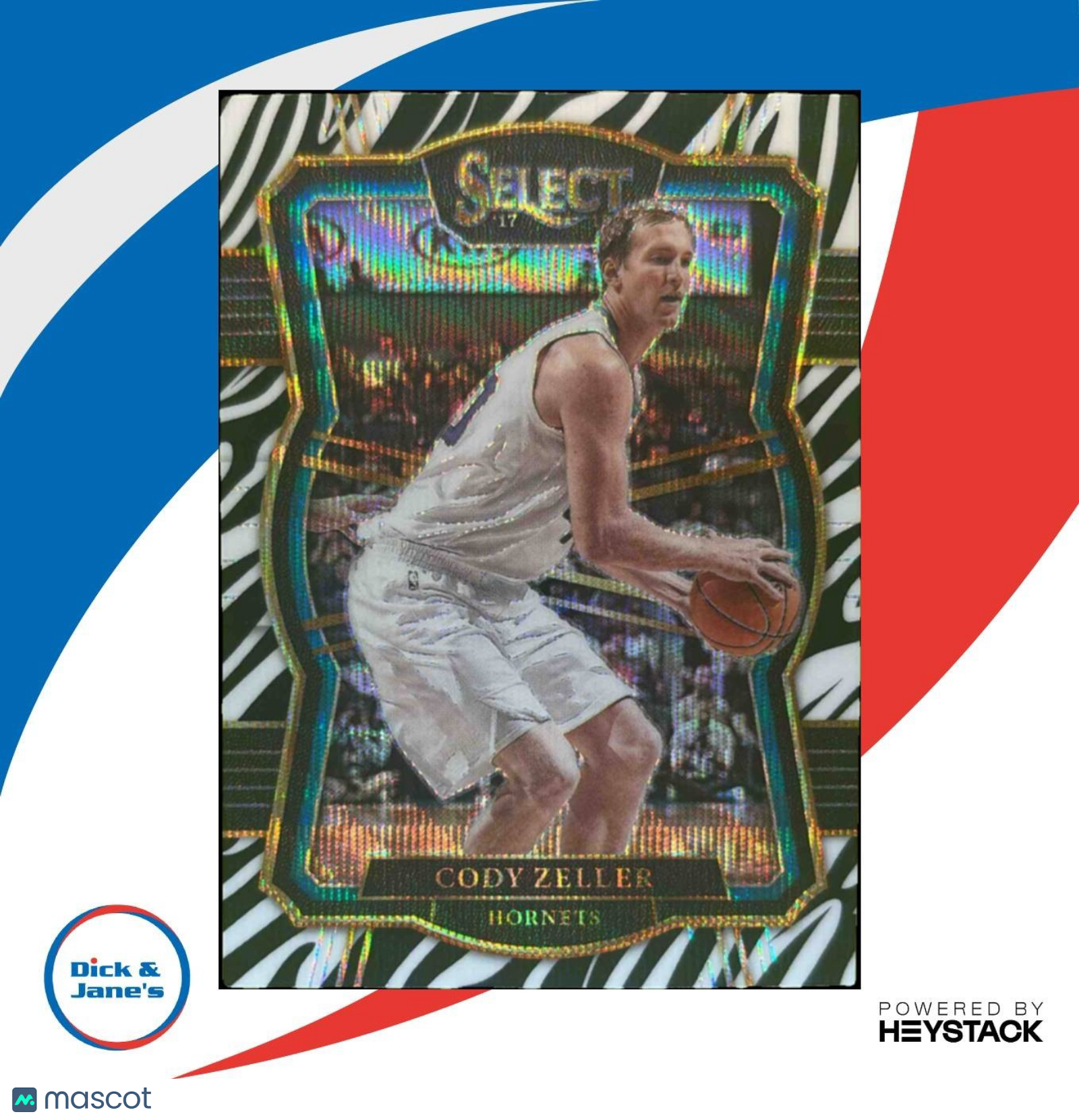 2017-18 Panini Select Cody Zeller Zebra Prizms #133 Charlotte Hornets
