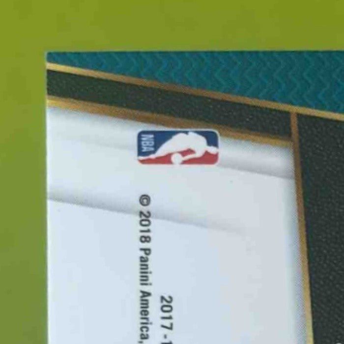 2017-18 Panini Select Cody Zeller Zebra Prizms #133 Charlotte Hornets