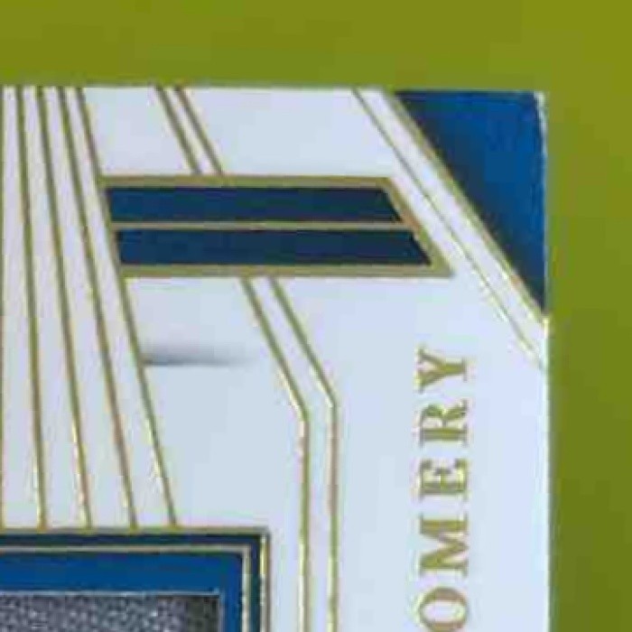 2023 National Treasures David Montgomery Century Materials /49 MEM Detroit Lions