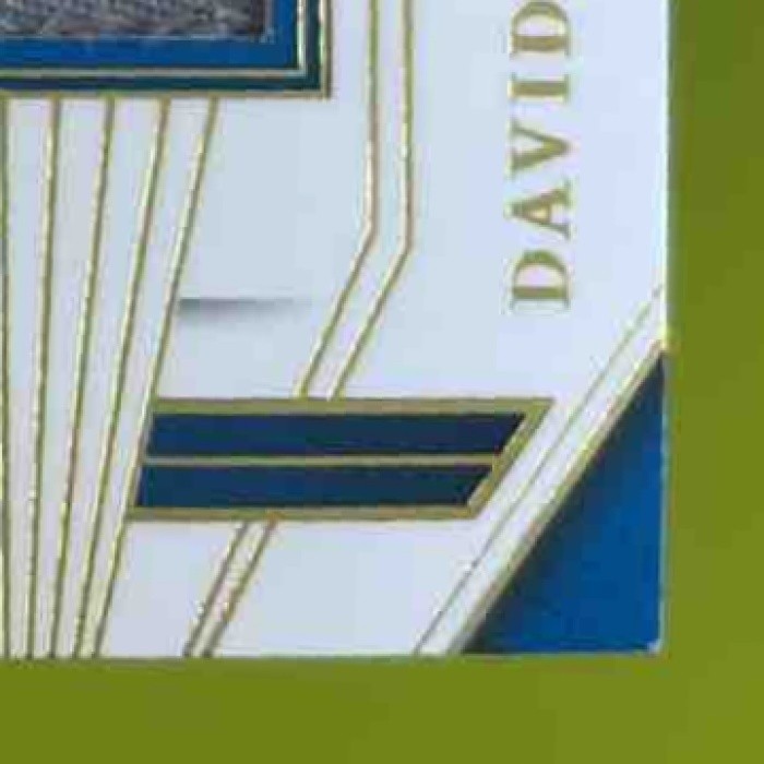2023 National Treasures David Montgomery Century Materials /49 MEM Detroit Lions