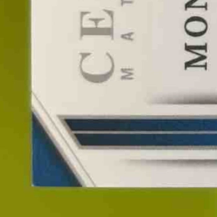 2023 National Treasures David Montgomery Century Materials /49 MEM Detroit Lions