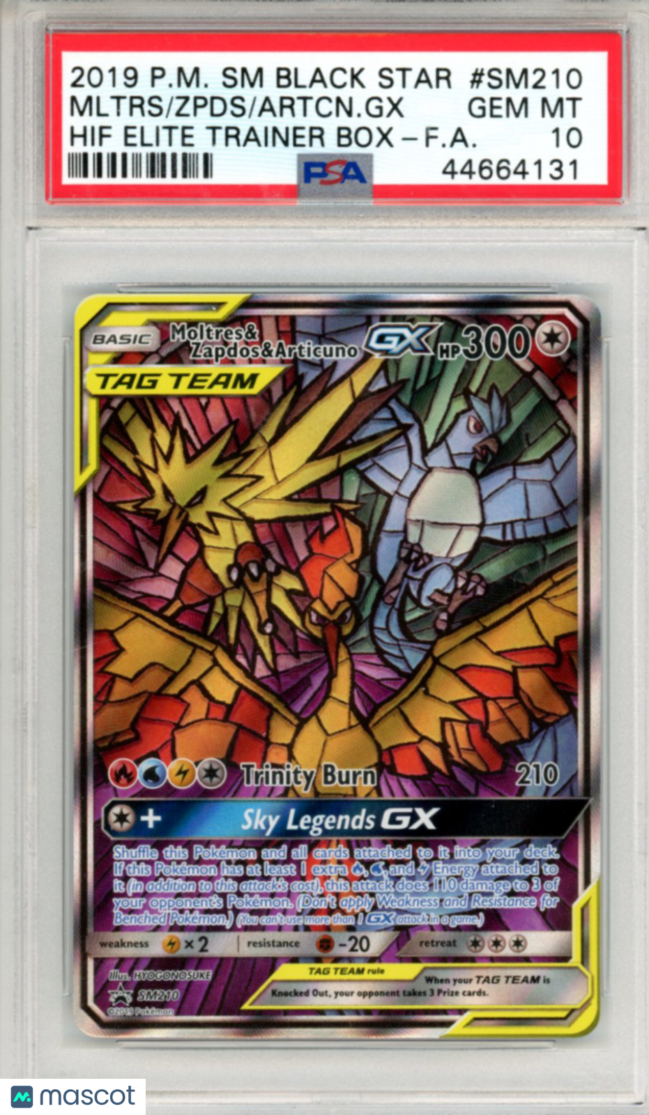 2019 Pokemon SM Promo Zapdos Moltres Articuno GX #SM210 HIF ETB PSA 10