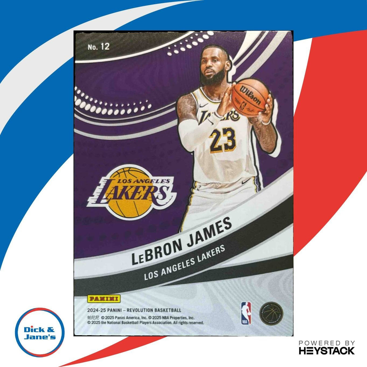 2024-25 Panini Revolution LeBron James Vortex #12 Los Angeles Lakers