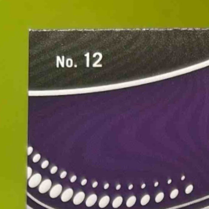 2024-25 Panini Revolution LeBron James Vortex #12 Los Angeles Lakers