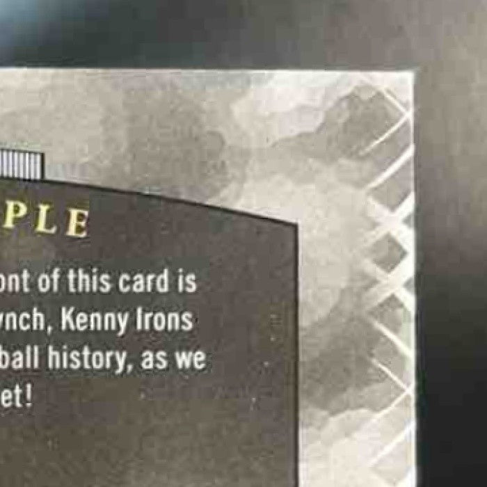 2007 UD Premier Adrian Peterson Marshawn Lynch Irons Remnants Triple Patch /25