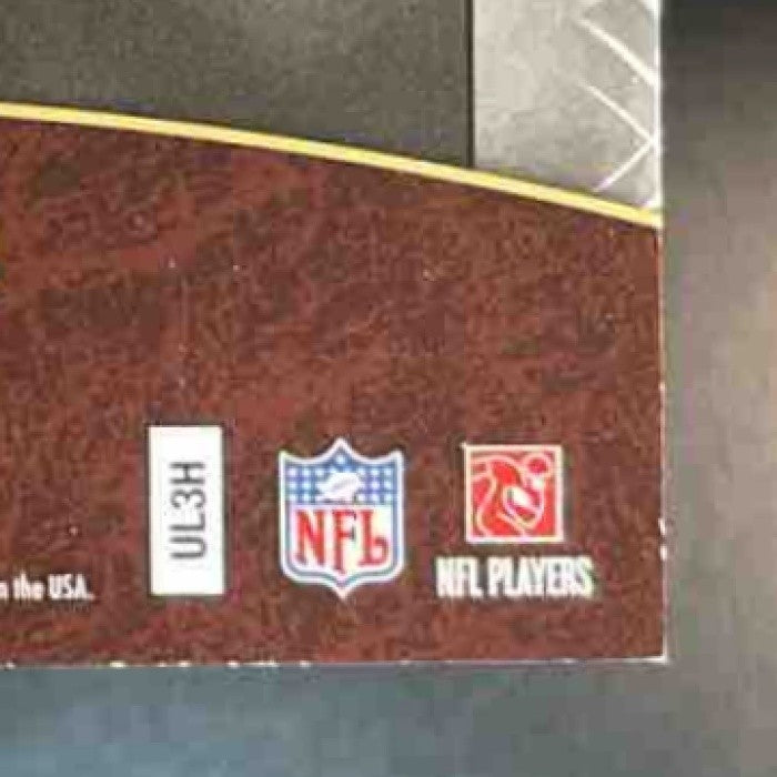 2007 UD Premier Adrian Peterson Marshawn Lynch Irons Remnants Triple Patch /25