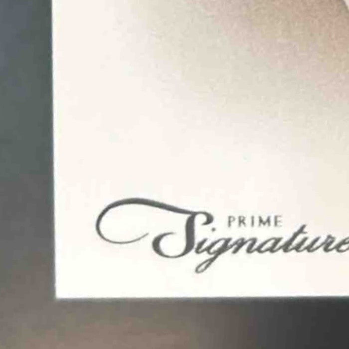 2011 Panini Prime Signatures Brian Hartline Proof Red /99 #24 Miami Dolphins