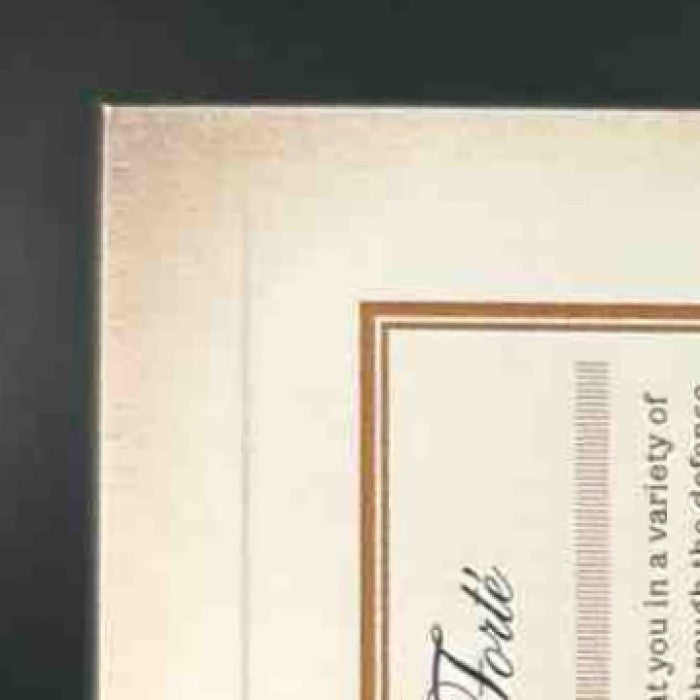 2011 Panini Prime Signatures Matt Forte Proof Red /99 #119 Chicago Bears