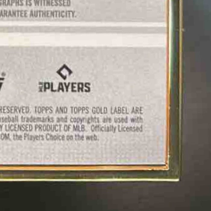 2021 Topps Gold Label Luis Patino Framed Auto RC Tampa Bay Rays