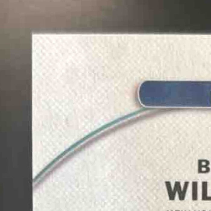 2025 Topps Finest Bernie Williams Auto Gold /50 #FA-BWI New York Yankees