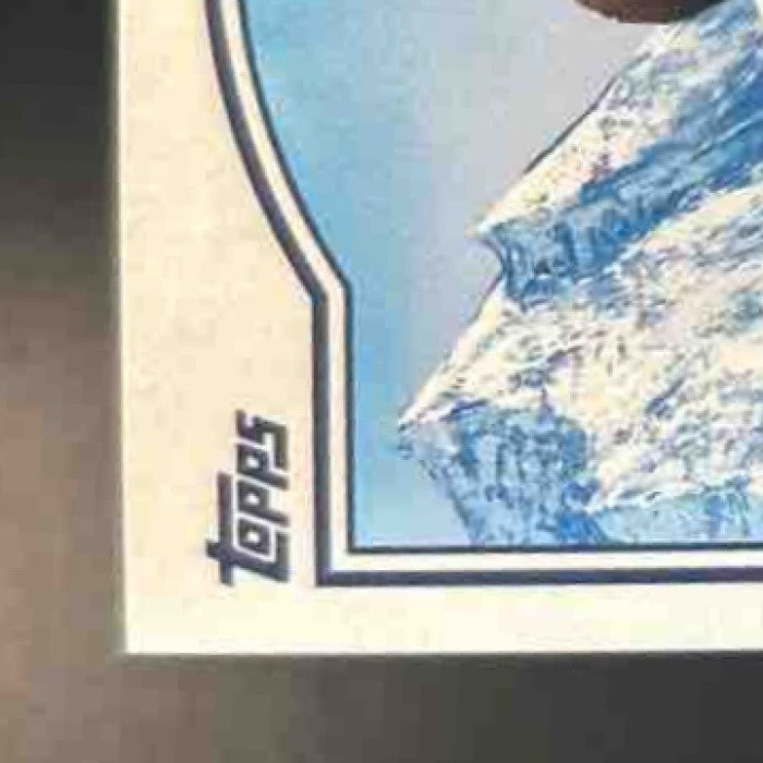 2025 Topps Bob Ross The Joy of Baseball Juan Soto Happy Mistake (afro) SP Mets
