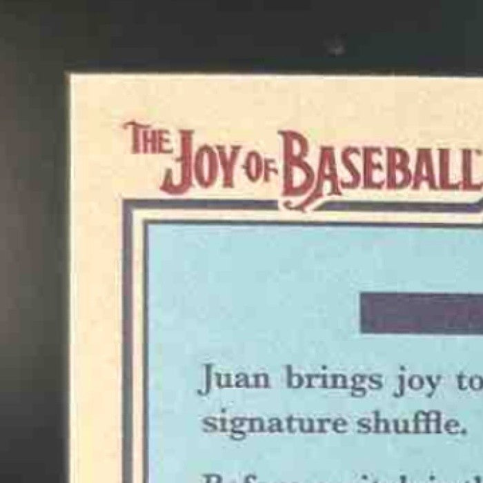 2025 Topps Bob Ross The Joy of Baseball Juan Soto Happy Mistake (afro) SP Mets
