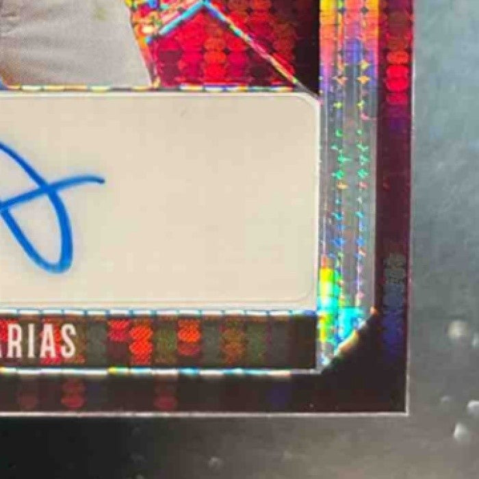 2023 Leaf Metal Rayner Arias Noble Auto /3 #N-RA1