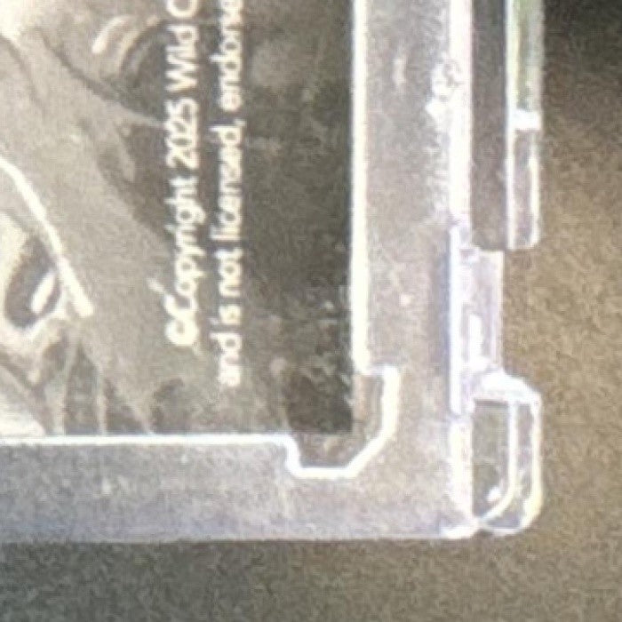 2025 Wild Card Splat 1/1 Shedeur Sanders