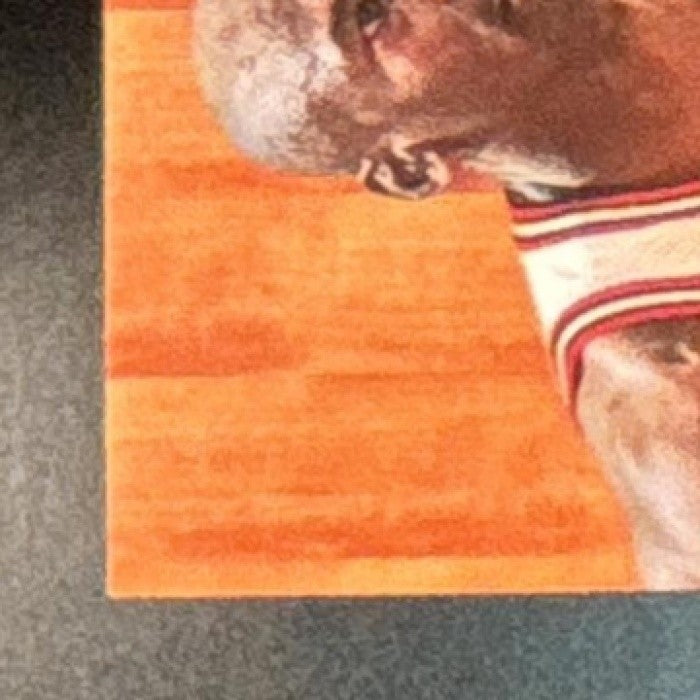 1995-96 Fleer Michael Jordan Flair Hardwood Leader #4 Chicago Bulls