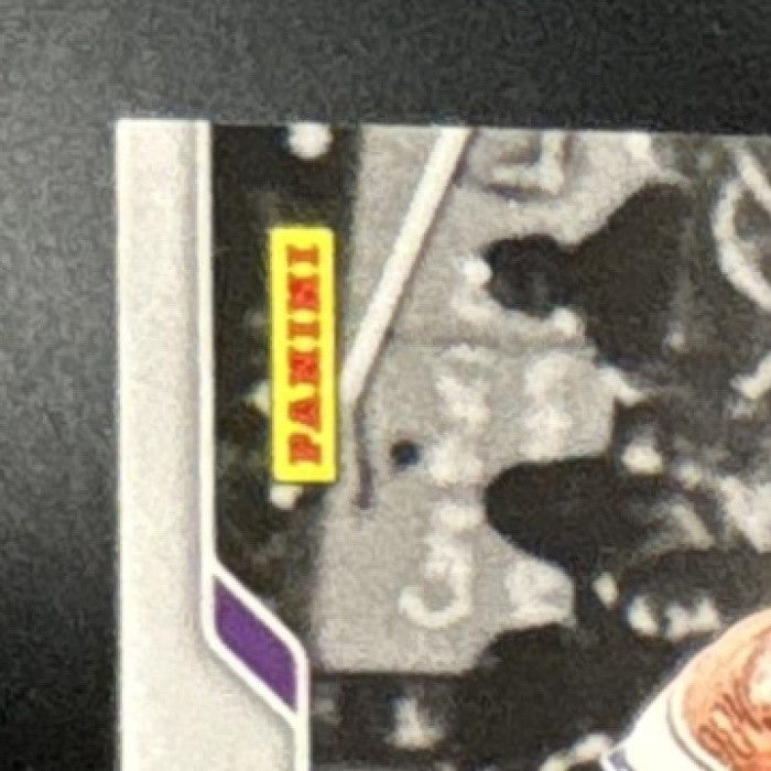 2024-25 Panini Prizm LeBron James Dominance #14 Los Angeles Lakers
